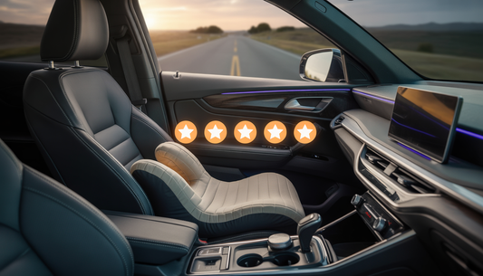 customer reviews car cushions 